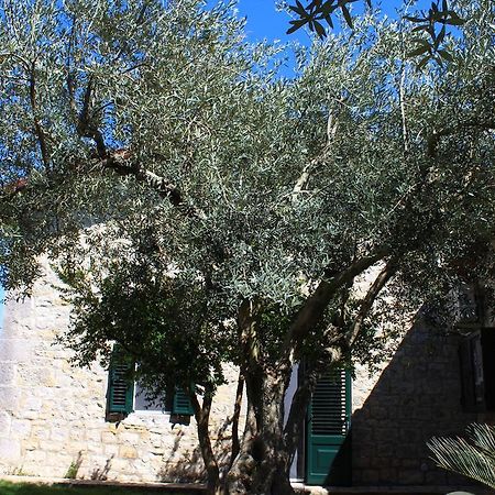Appartamento Le Tre Palme Frigintini Dış mekan fotoğraf